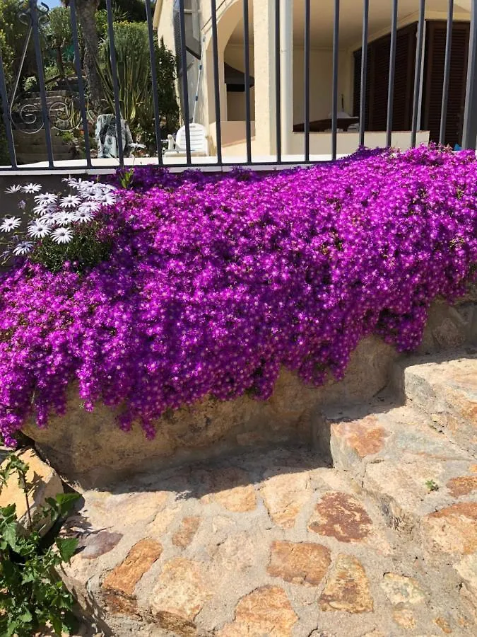 Villa Bouganvilla Tossa de Mar