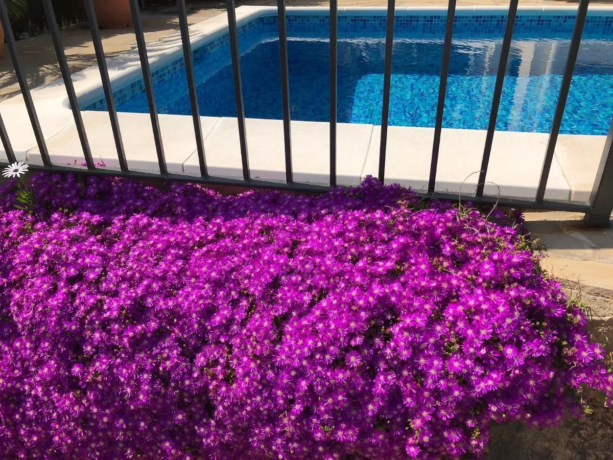 Villa Bouganvilla Tossa de Mar